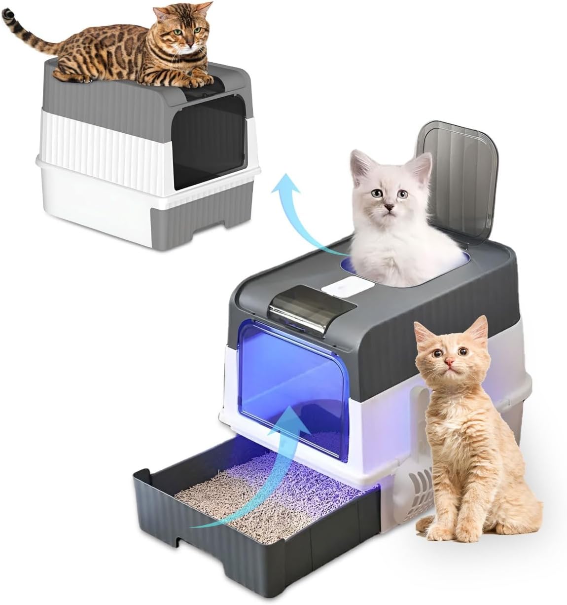 Amazon Extra Tall Cat Litter Box Iris USA Cat Litter Box XX-Large Open Top  With